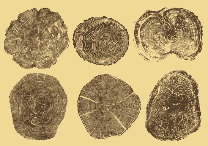 Years wooden wood wallpaper trunk tree rings tree ring tree timber textured texture structure striped Split section round ring process plant pine old nature natural material lumber logs life industry history hard grungy grunge growth Forestry forest flat fiber dried Detail dendrochronology dead cut cross section CONCENTRIC closeup circle bark background Annual aging aged 