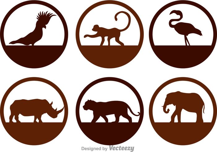 Zoo wild tiger silhouette rooster silhouettes rooster silhouette rhino monkey life forest flamingo elephant cockatoo birds bird silhouette bird animal silhouette animal 
