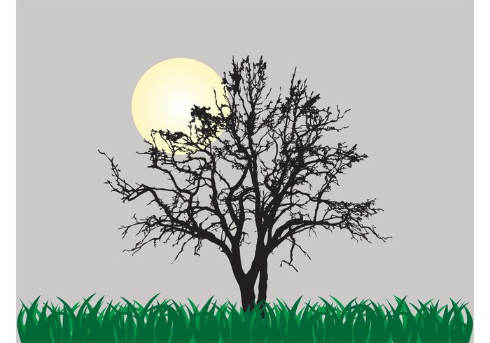 vector background sun silhouette plants old nature moon lush grass fresh field dry Crooked branches 