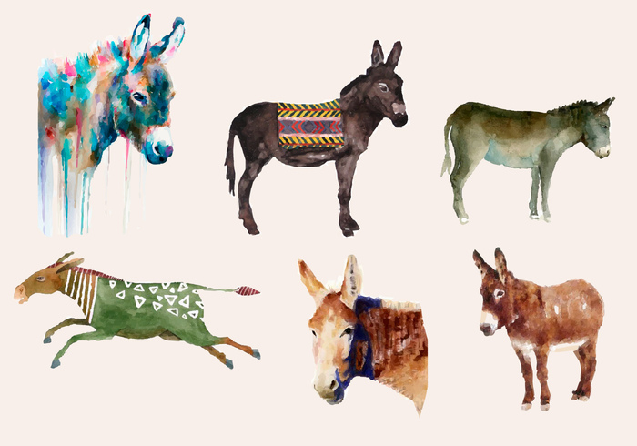 wildlife wild white watercolor water vintage vector texture style splash sketch ribbon pattern paper paint nature natural Mule mammal isolated ink image illustration horse head hand grunge graphic funny farm element drop drawn drawing donkey Domestic design cute colorful color cartoon brush brown background ass artwork artistic art animal abstract 