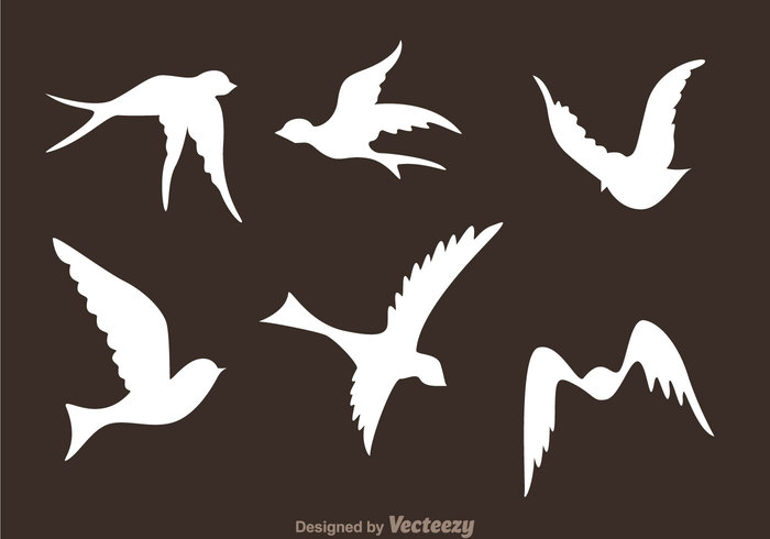 wing wildlife tail swallow sky silhouette outside natural Fowl flying bird silhouettes flying bird silhouette Flying bird flying fly faunna birds bird silhouette bird 