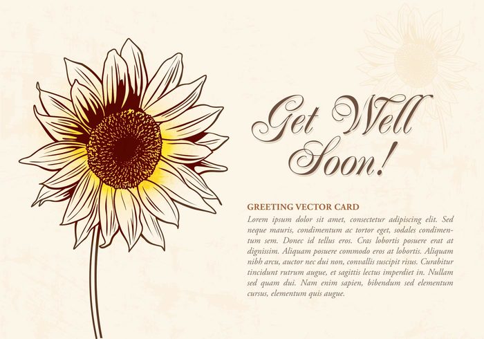 yellow vector sunflower sun summer style stroke sketchy sketch side realistic plant nature natural made line isolated illustration hand grunge get well soon cards garden flower Flores floral flora empty element elegant drawn drawing doodle decorative decoration card bright border beauty beautiful background backdrop artistic art agriculture 