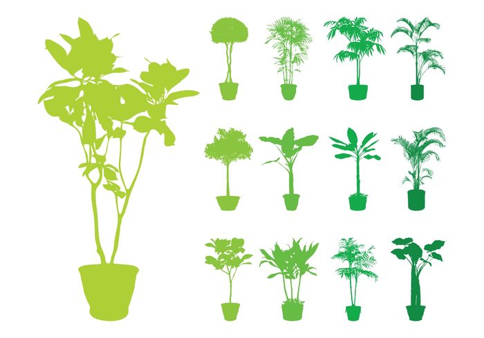 trees tree silhouettes silhouette potted pots pot plants plant nature interior House plants 