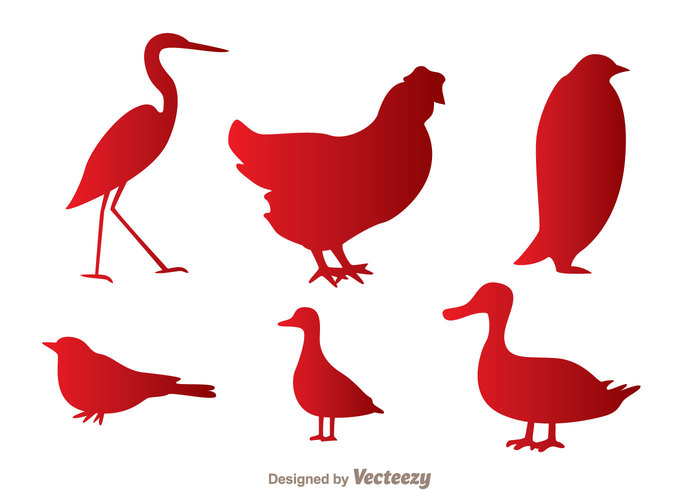silhouette roster poultry pigeon penguin Goose Fowl fly feather farm duck chiken silhouette chicken bird animal 