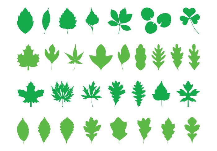trees tree silhouettes plants oak nature maple leaves leaf eco clover leaf clover Birch 