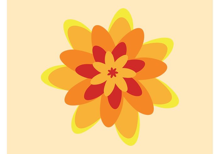 summer spring plants plant petals nature logo icon flower vector flower floral eco blossom blooming bloom 