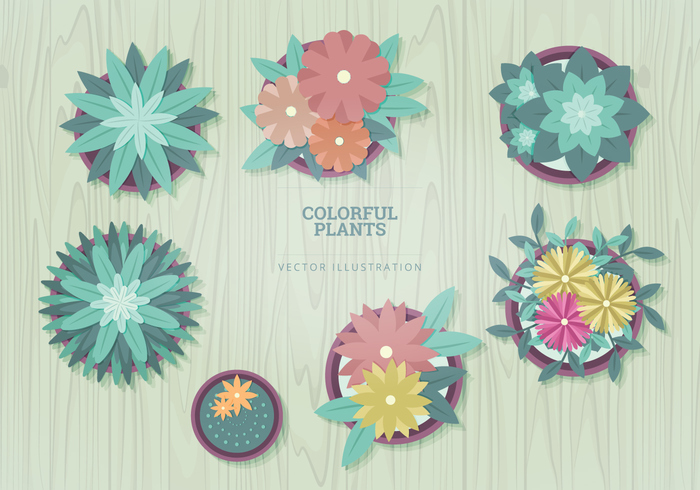 vector top view plants top view set Potted plants plants top view plants plant top view objects isolated illustration flowers essentials collection 