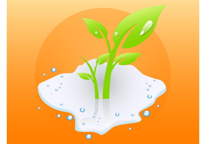 watering water Stems sprout spring shiny puddle park lush logo template liquid leaves garden fresh Flower shop drops 