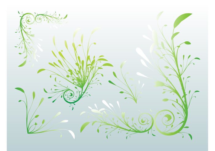 Tender swirls summer spring scrolls Plant vectors organic lush leaves leaf grass fresh ecological dynamic details 