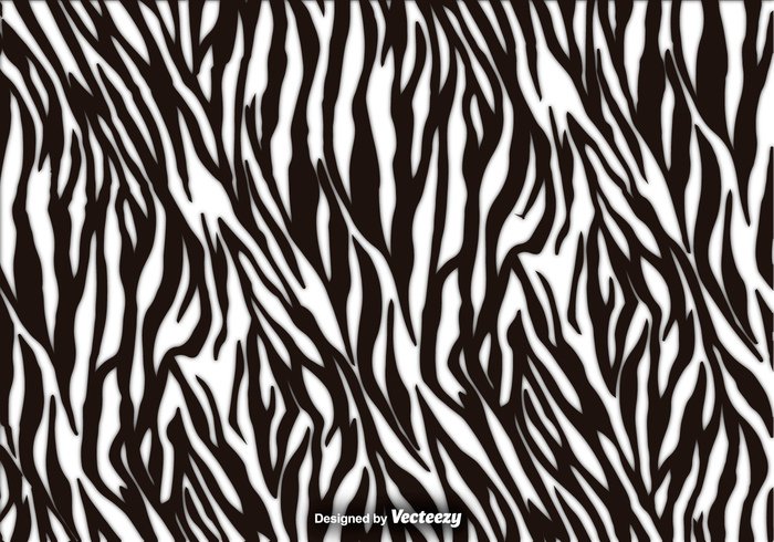 Zoo zebra wildlife wild texture stripes striped skin safari print lines fauna Detail design decoration camouflage black background animal africa 