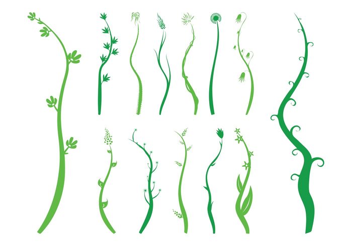 swirls Stems spring silhouettes silhouette plants plant nature leaves leaf flowers flower floral blossoms 