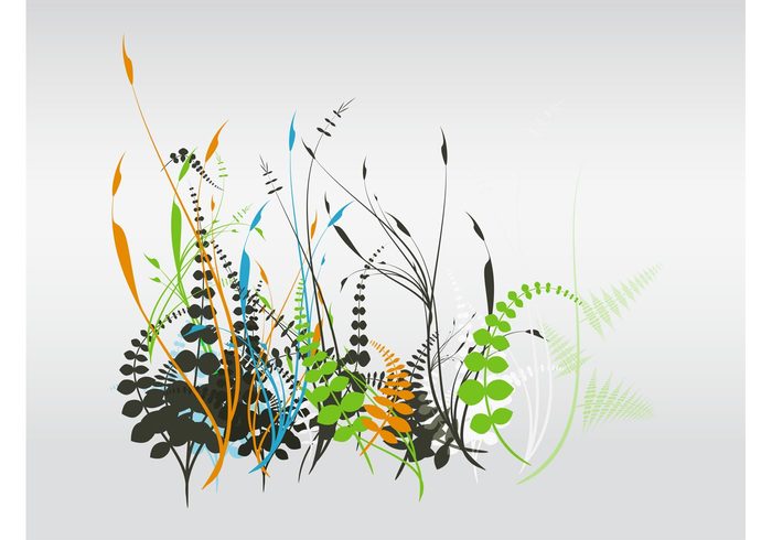 wild stylized Stems Plant vector petals minimal leaves layout garden forest flowers floral Composition colors colorful buds  
