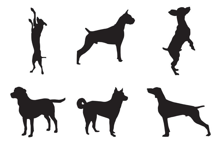standing dog silhouette puppy pet silhouette pet shape paw mammal jumping dog Domestic dogs Doggy dog silhouette dog shape dog Doberman black animal 