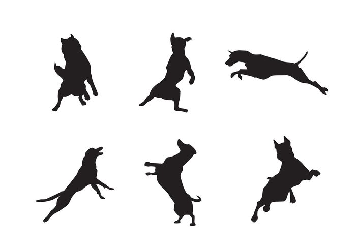 silhouette puppy pet silhouette pet shape paw mammal jumping dog Domestic Doggy dog silhouette dog shape dog Doberman black animal silhouette animal shape animal 