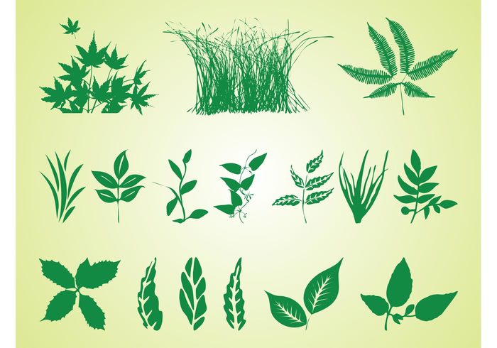 Stems spring silhouettes silhouette plants plant nature leaves leaf grass floral flora 