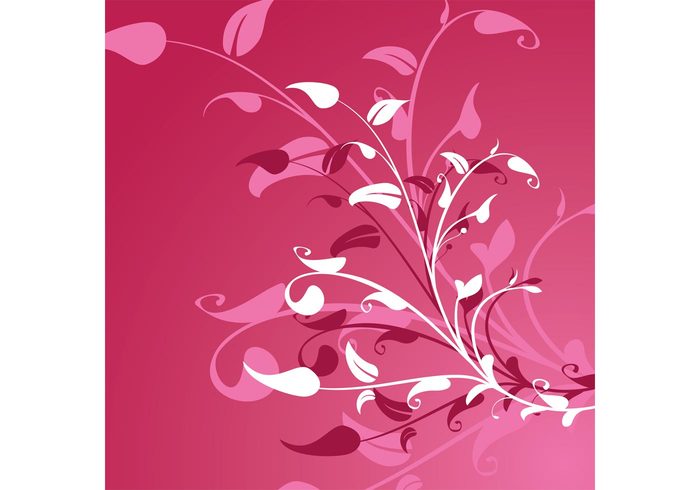 tones shades romance Pink plants pink love layout invitation greeting gift flowers floral flora feelings card beauty 