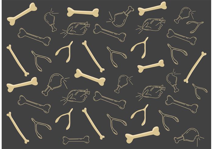 vector chicken skeleton silhouette chicken pattern isolated Fowl eat dinner cooking chickens chicken bone pattern chicken bone chicken calcium bone pattern Bone animal 