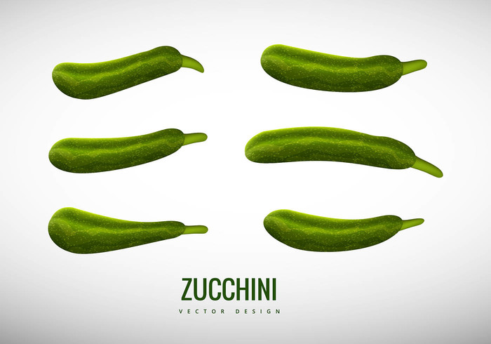 zucchini vegetable vector plant nature Healthy green freshness food fit eating 