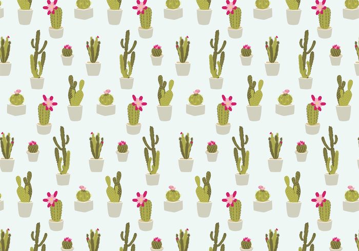 succulent Spiky seamless repeat Prickly potted plant pot plants plant pattern nature natural leaf Houseplant hand drawn garden flower desert pattern desert cactus desert cute plant cute cactus cactus pattern cactus botanical blooming bloom 