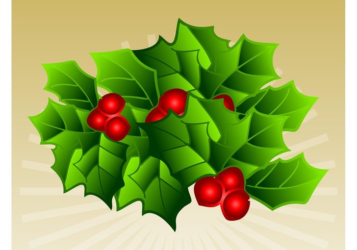 plant leaves holiday fruits festive decorative decoration comic christmas cartoon 
