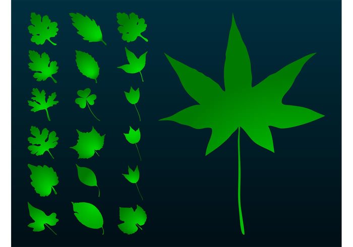 weed silhouettes shamrock plants plant Marijuana leaves leaf good luck flora eco clover 