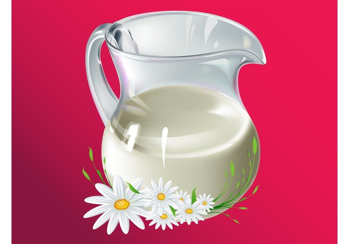 petals Milk illustration liquid jug handle glass fresh floral drink container Chamomile blossom bloom 