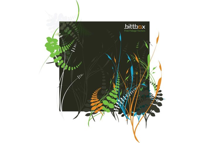 nature leaves leaf foliage contest Bittbox 