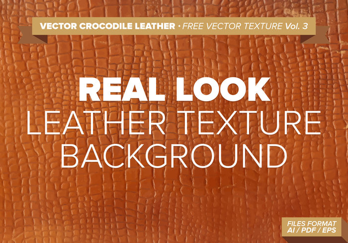 texture skin reptile texture reptile leather reptile background reptile real look Real light leather leather texture leather background leather crocodile texture crocodile leather crocodile background crocodile brown leather background animal skin animal leather animal 