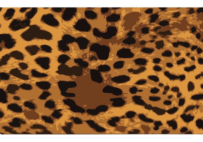 wallpaper spots skin print nature Leopard Skin leopard fur animal print animal 
