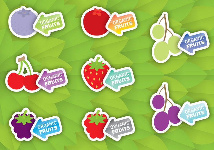 template tag tab strawberry sticker sign retail raspberry product organic nature natural leaf label Healthy green grapes fruit label fresh food label food ecology eco cranberry cherry Blackberry black berry label black berry Biological bio berries badge 