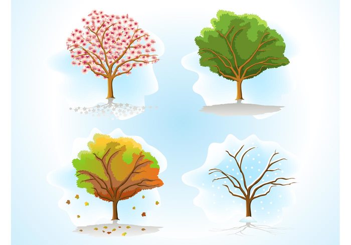 winter tree summer spring seasons seasonal plants nature leaves leaf graphics Fall ecology blossoms autumn agriculture 