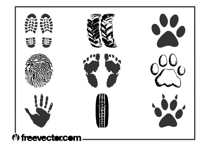 wildlife traces tires tire soles Shoe prints prints pet paws Palm print footprints footprint fingerprint dog cat animals 