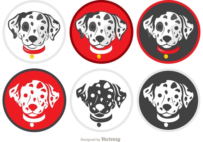 spots puppy face puppy pup portrait pet icon pet face pet dogs Doggy doggie dog icon dog dalmation puppy dalmation pup dalmatian cute breed animal pup animal icon animal 101 dalmations 