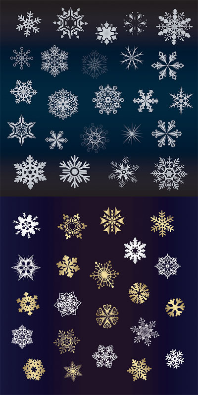 Beautiful snowflakes background vector