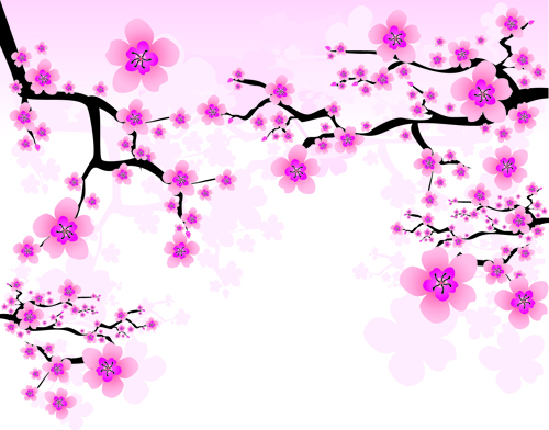 japan Cherry Blossoms 
