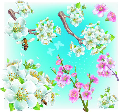 japan Cherry Blossoms 