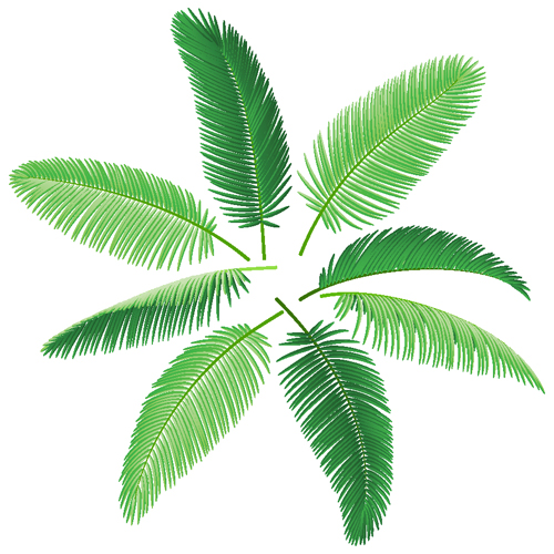 Palm leaves green 