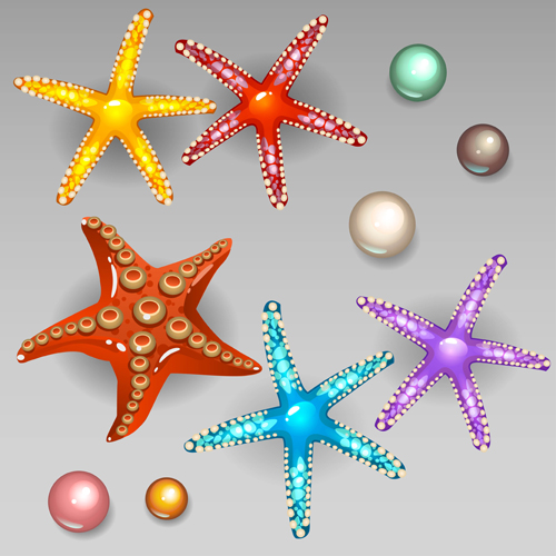 Starfish with pearls shiny vector