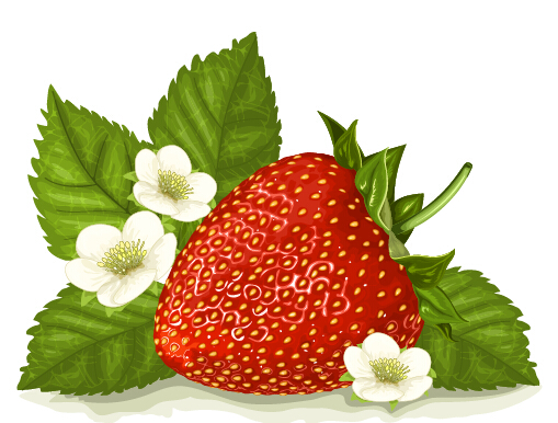 strawberry flower 