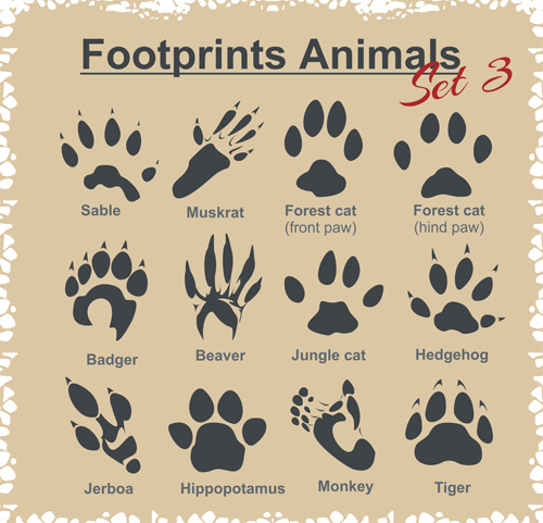 Various footprints animals design vectors 01