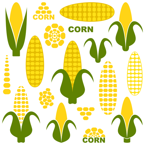 elements corn 