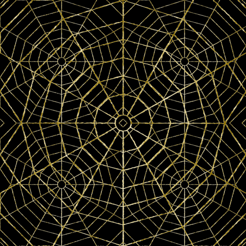 Set of Spider web vector background 03