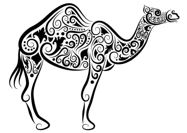 Collection of Hand drawn Animal Pattern vector 13