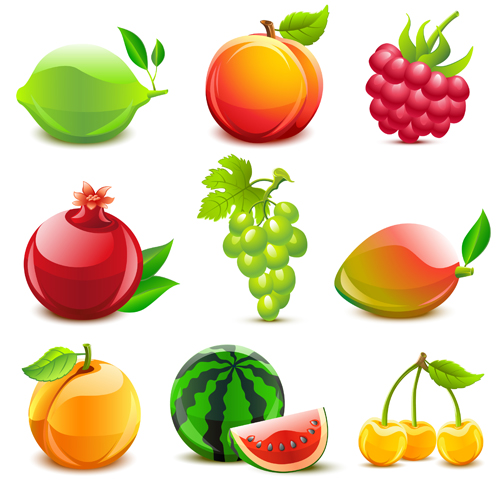 Elements of Various Glossy fruit vector 02