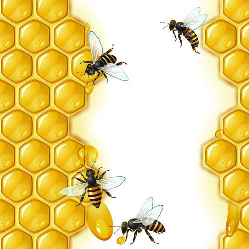 Realistic honey and bees vector graphics