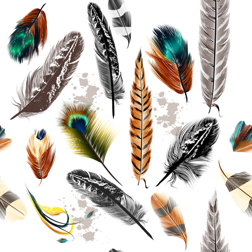 seamless pattern feathers colorful 