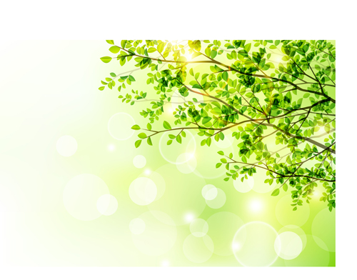 Sunlight with green tree spring background