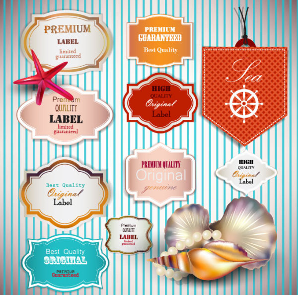 pearls and seashells elements label vector 01
