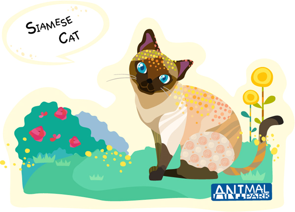 Siamese cat vector