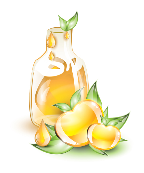 Glass Drinks and Fruits vector set 06